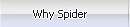 Spider USA